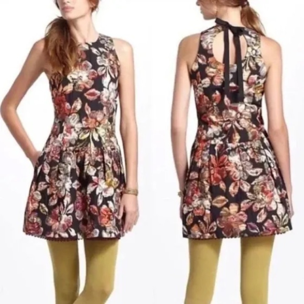 Anthropologie Leifsdottir Adelita Floral Brocade Dress Color: Black | Size: 4
